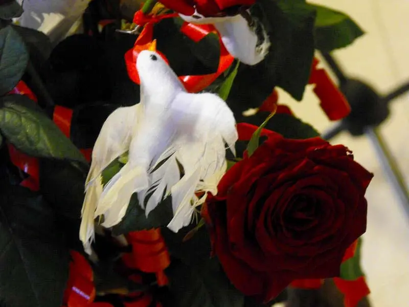 Ritratto di Baba Bedi